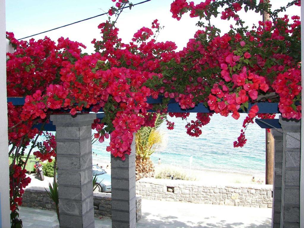 Theoxenia Chios Apartments Paralia Agias Foteinis Exterior photo